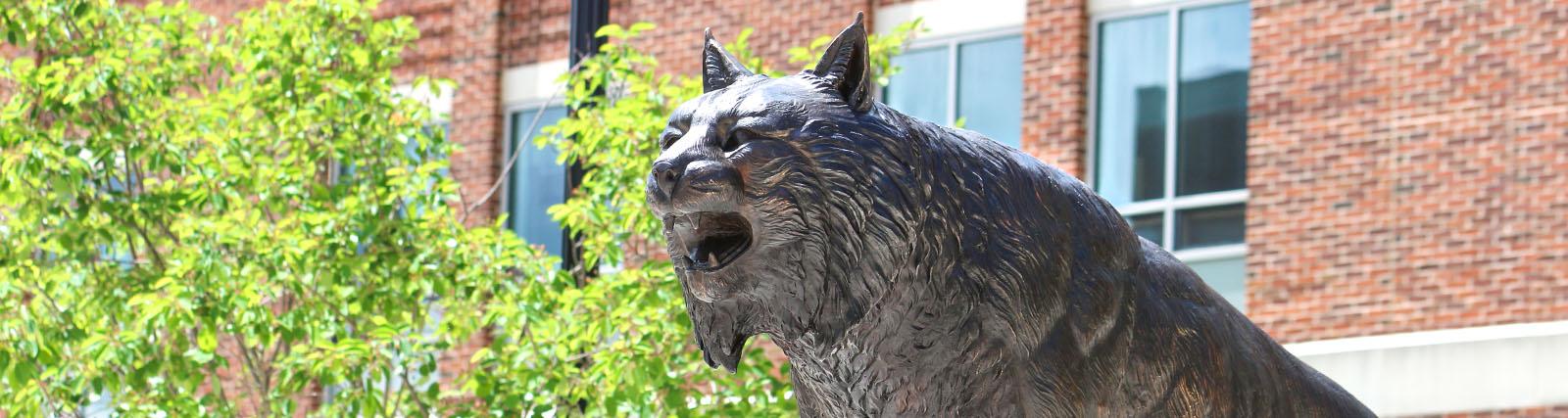 山猫雕像在FSU
